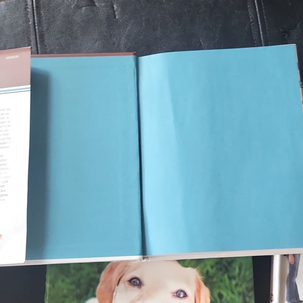 Complete Guide to Dog Care